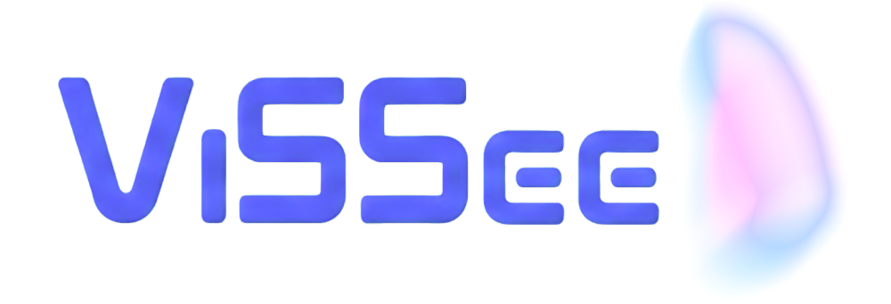 ViSSee