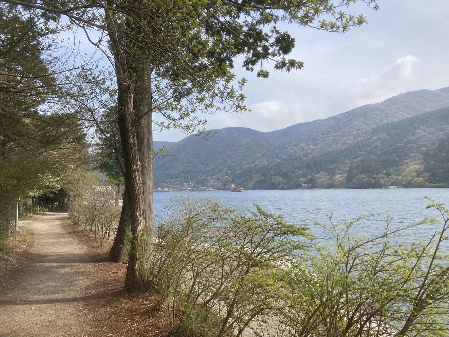 Lake and mountains near Hakone